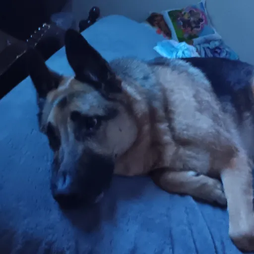 creator April Amador's avatar