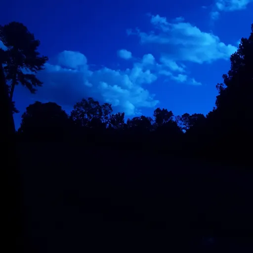 creator T0tallynot?'s avatar