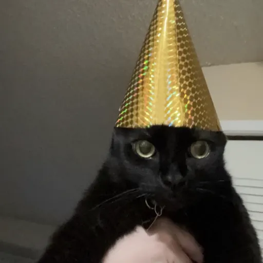 creator Sazzy's avatar