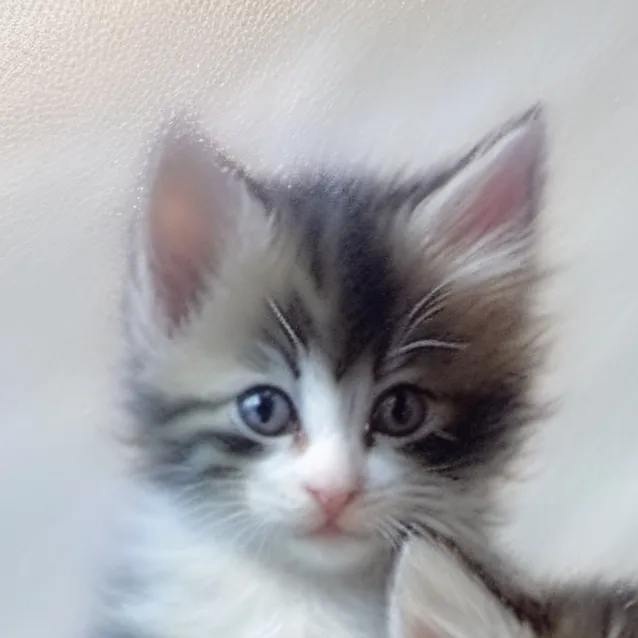 chat with ai character: Coco, Lovely, Nyla