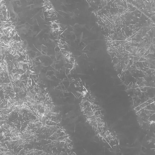 creator Philip_graveissexy's avatar