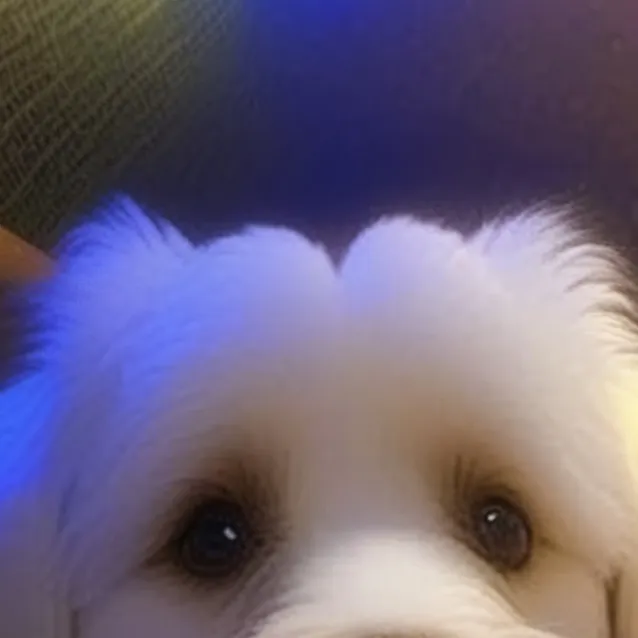 chat with ai character: Snowie