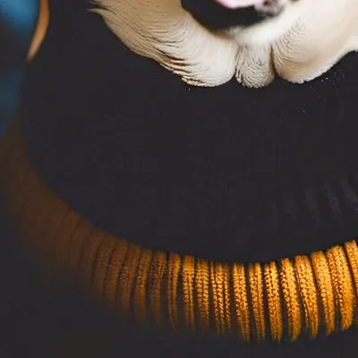 chat with ai character: ME