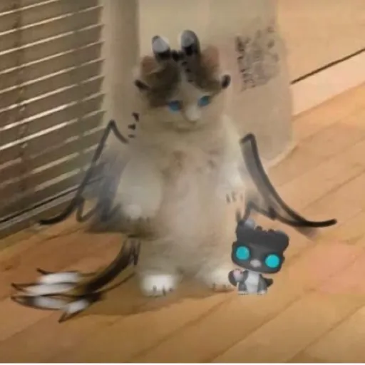 creator Talkior-o5JL1fS1's avatar