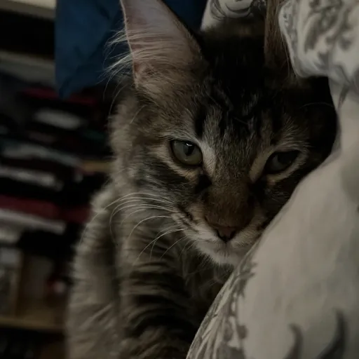 creator Theflirtmaster's avatar