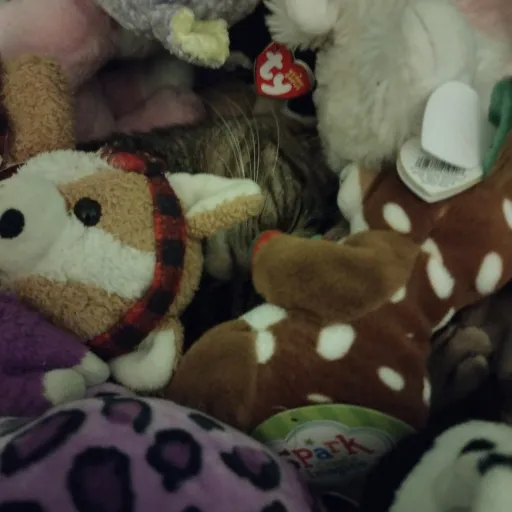 creator MycatMylo's avatar