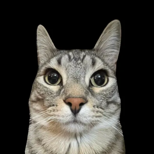 creator Thatonefatcat's avatar