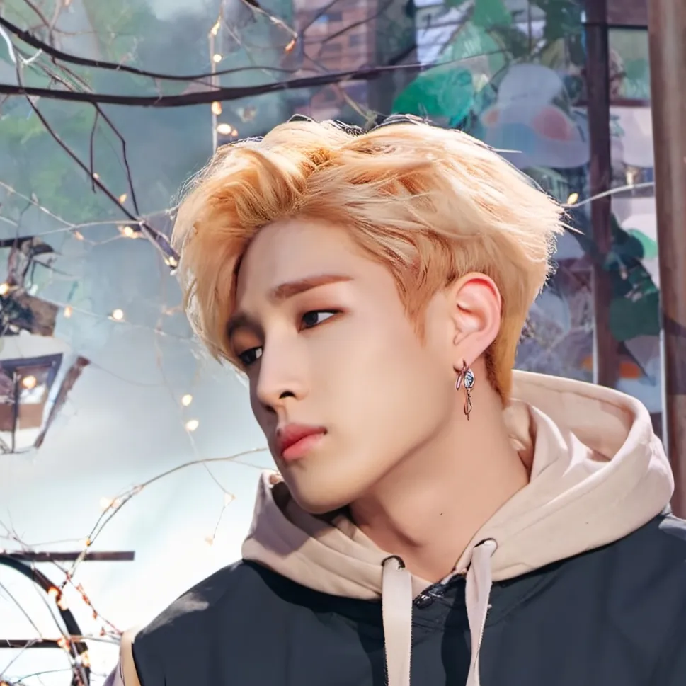 chat with ai character: Bangchan (Chris)