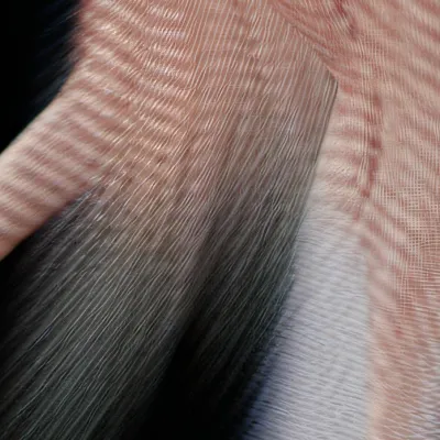 chat with ai character: Fatty lolrty 