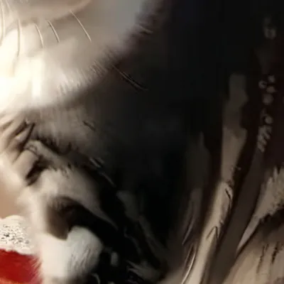 chat with ai character: Shampoo meme😩