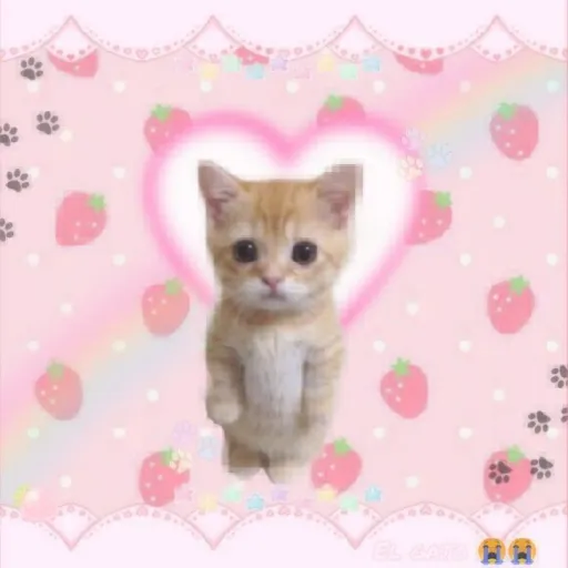 creator Talkior-jM0AQmFx's avatar