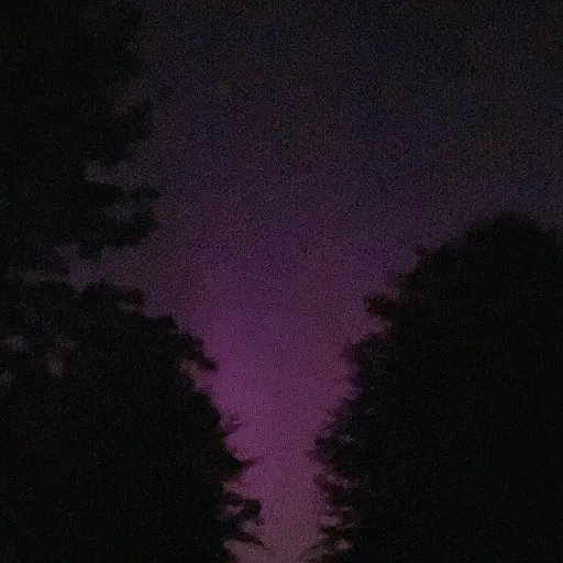 creator Thesoutherngirl's avatar