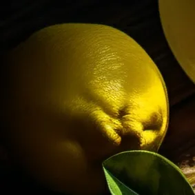 chat with ai character: epic lemon