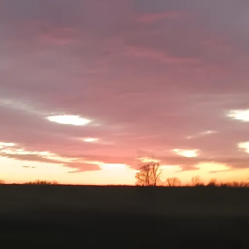 creator LJames_'s avatar