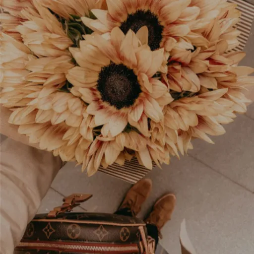 creator Eliana142552's avatar