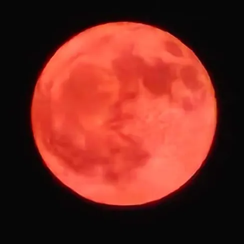 creator Moon12423's avatar