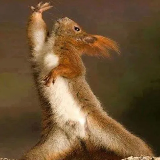 creator Angel dust 1@'s avatar