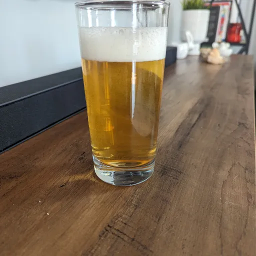 creator Random_XD's avatar