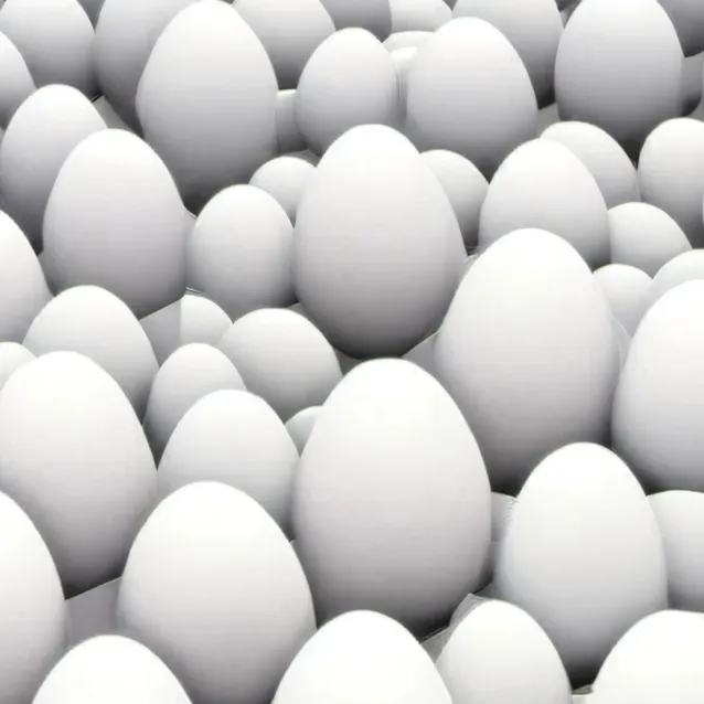 chat with ai character: Egg army