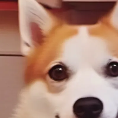 chat with ai character: Scared and bein🥷