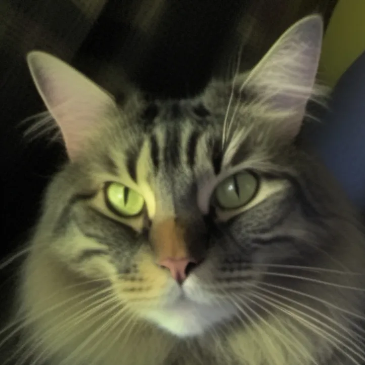 chat with ai character: Bella