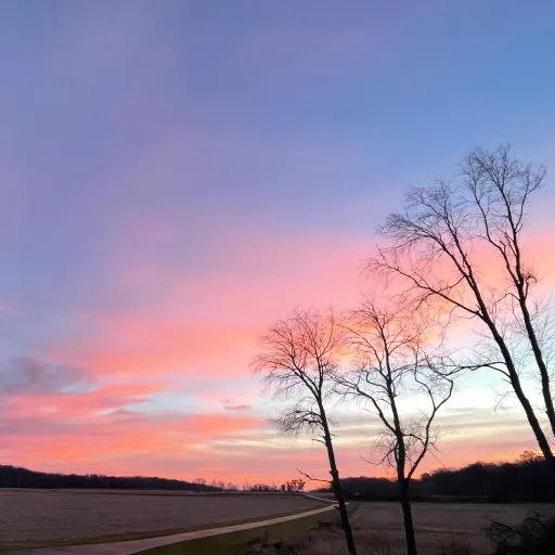 creator Ace14273's avatar