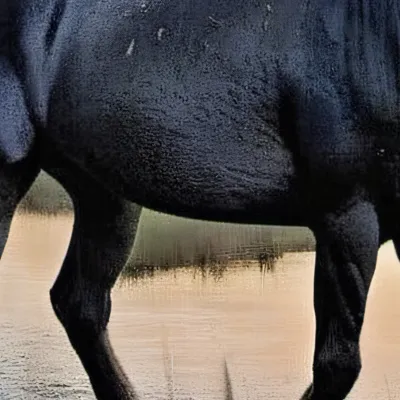 chat with ai character: Wild horse