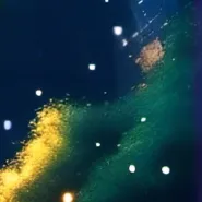 chat with ai character: High school