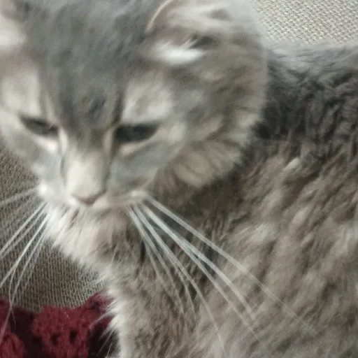 creator justdroppingin123's avatar