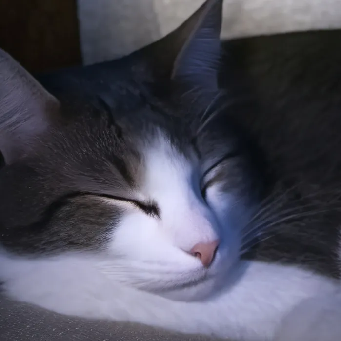 chat with ai character: Grey Goose