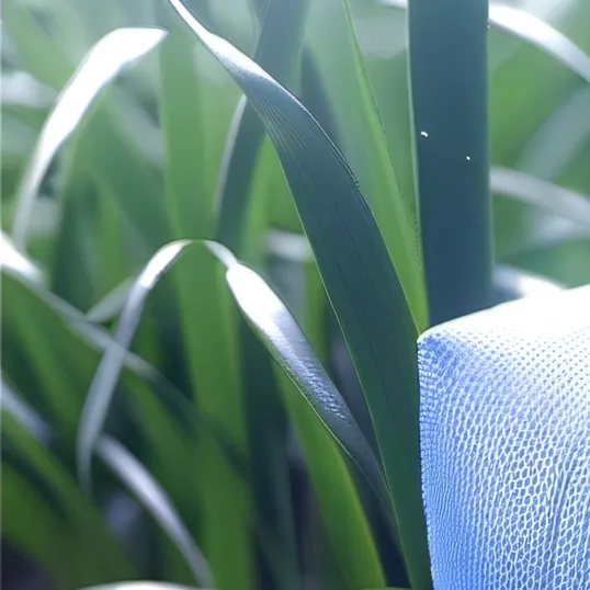 chat with ai character: Grass