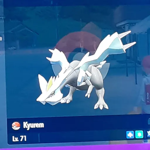 creator Pokémon_master's avatar