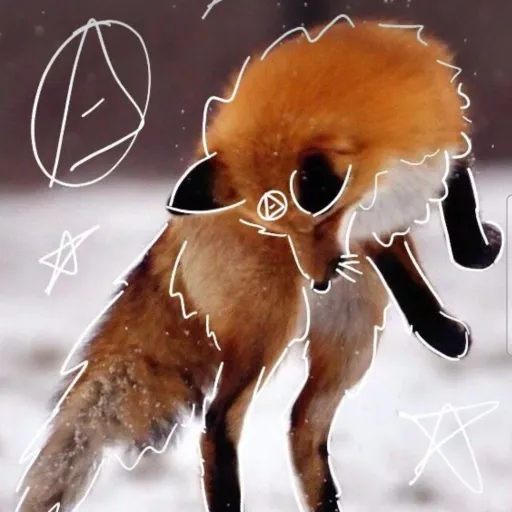 creator ╶⃝⃤🐾bellaon4s🐾╶⃝⃤'s avatar