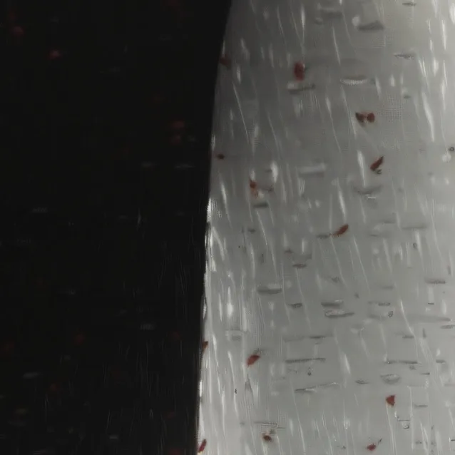 chat with ai character: sigma test