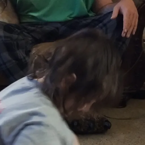 talkie's author avatar