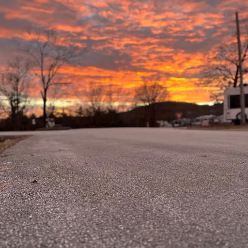 creator Berri_cows's avatar