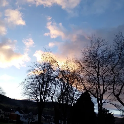 creator nonofurbusiness's avatar