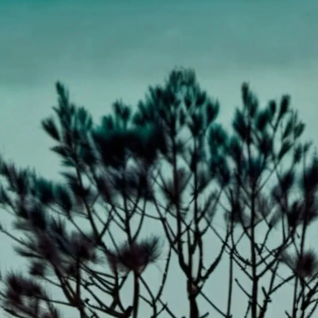 chat with ai character: friend group