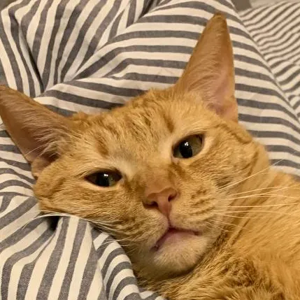 creator Hotar_U's avatar