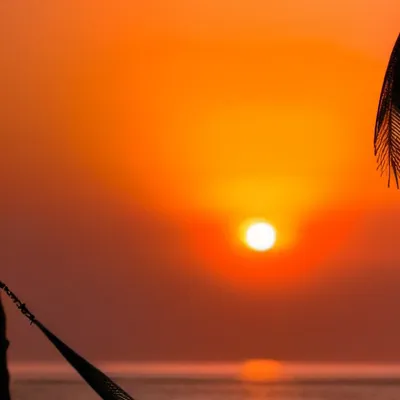 chat with ai character: KøKø shīnjīņ