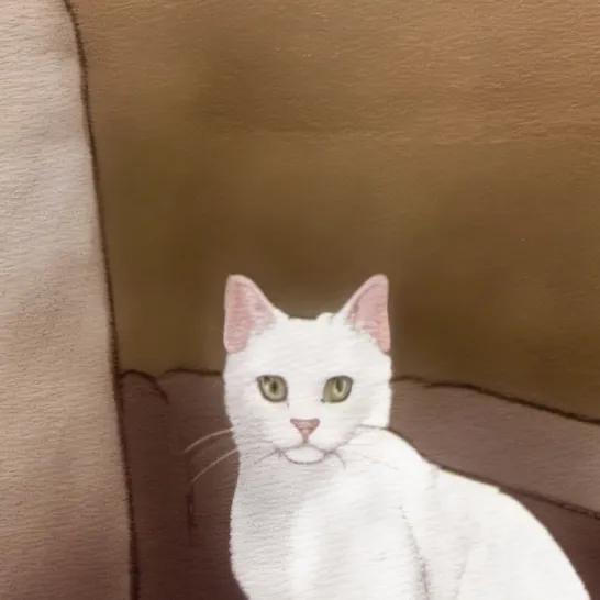 chat with ai character: Summer