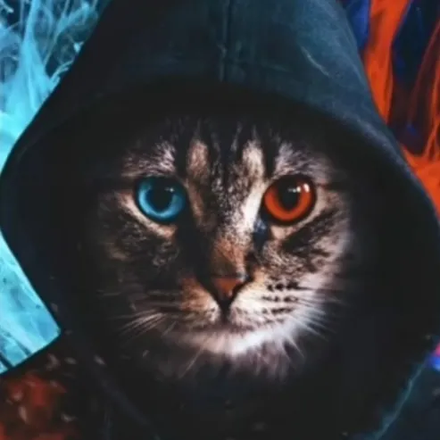 talkie's author avatar