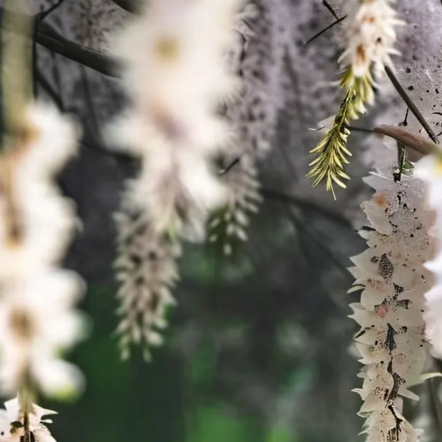 chat with ai character: Mattheo Riddle 