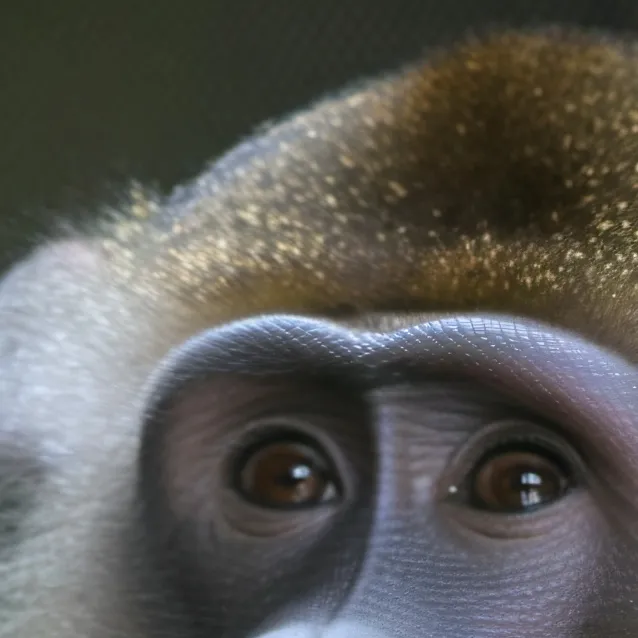 chat with ai character: fat monkey