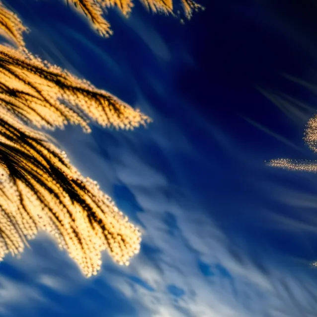 chat with ai character: shinso × todoroki