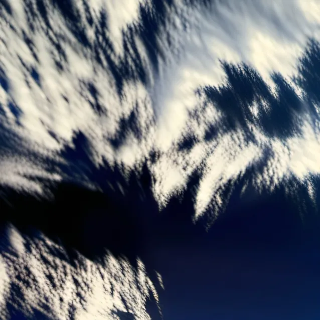 chat with ai character: MHA