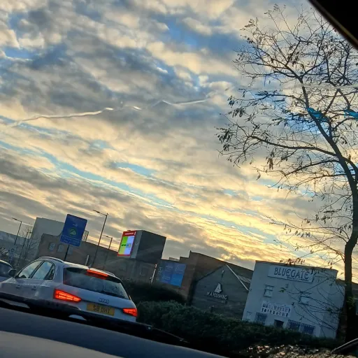 creator R 💗's avatar