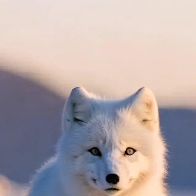 chat with ai character: Lola