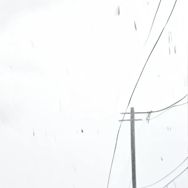 chat with ai character: withered chica