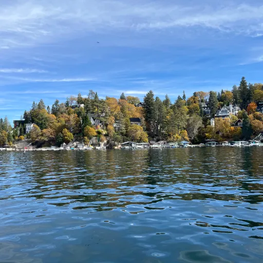 creator I like the sea's avatar